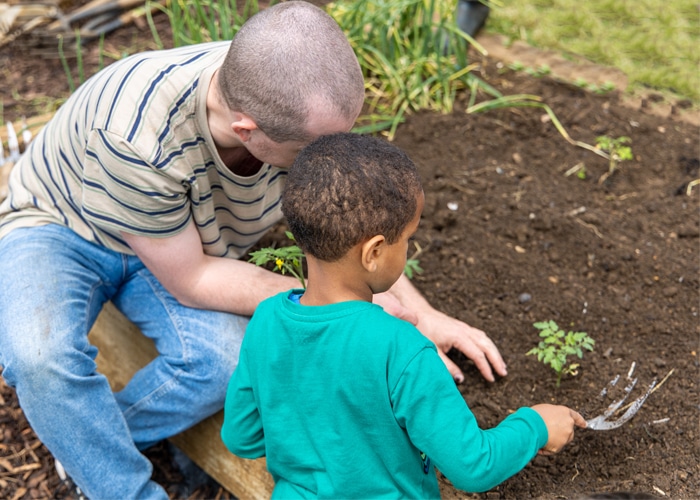 Kitchen Garden planting