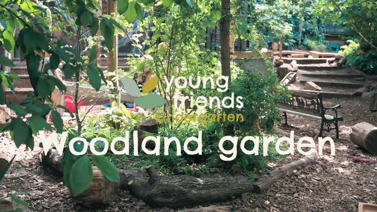 Woodland garden thumbnail
